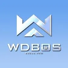WDBOS - Game Puzzle Seru dan Menantang